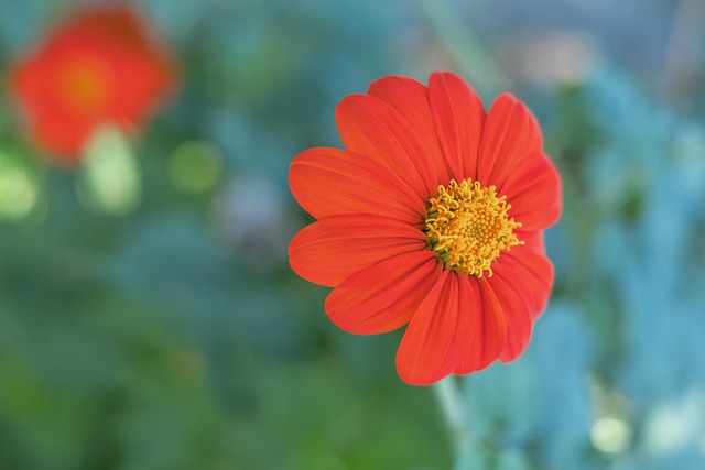 湖州市再添2金！赛艇项目圆满收官！