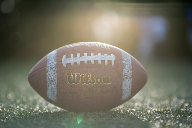 托特纳姆热 托特纳姆热