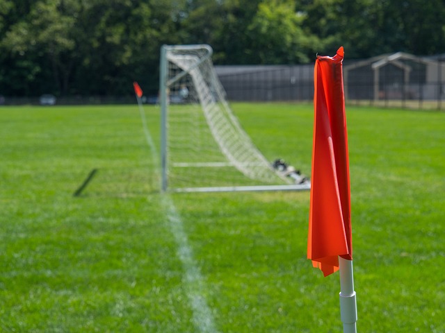 年前成功晋 年前成功晋