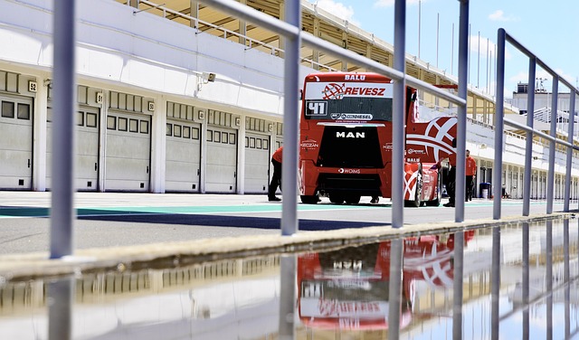 人与尼克斯 人与尼克斯