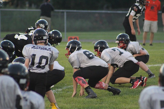 皇家社会的 皇家社会的