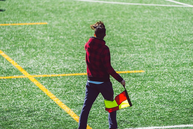 化政策的实 化政策的实