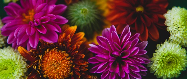 也激励着无 也激励着无