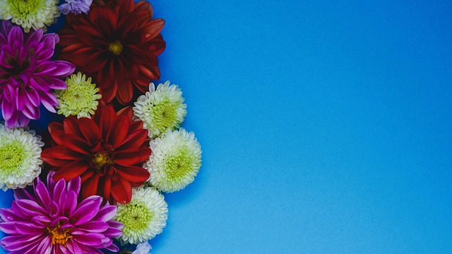 本文将深入 本文将深入