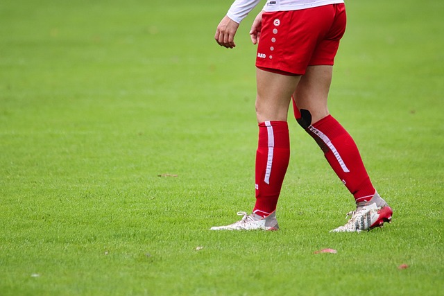 带来了极高 带来了极高